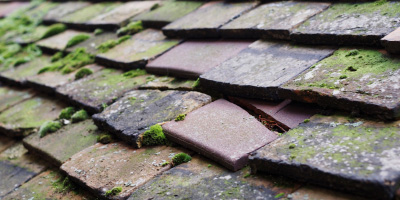 Haversham roof repair costs